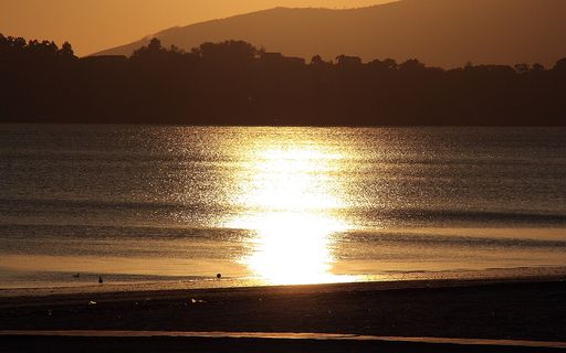 Tanxil foto 1