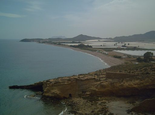 Parazuelos