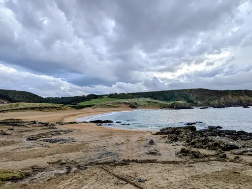 Tenrero