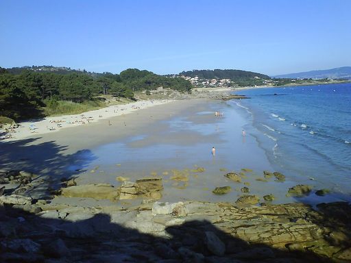 Viñó