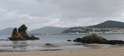 Covas