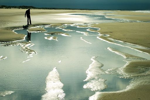 Doñana foto 2