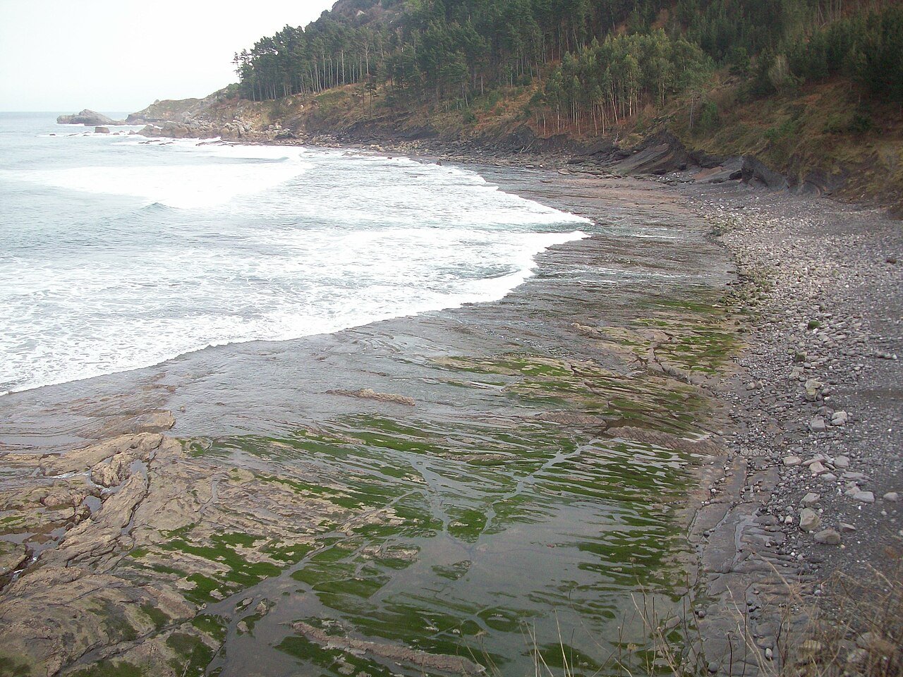 Foto de Ogella por @baseline_wikimedia