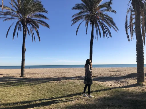 Patacona