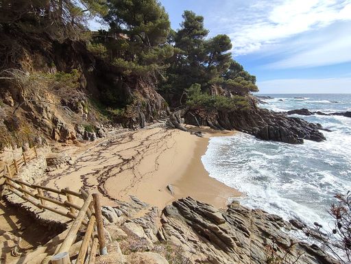 Sant Antoni