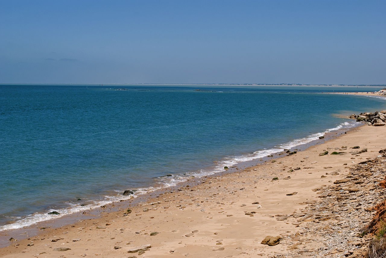 Foto de Montijo por @baseline_wikimedia