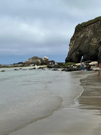 Porcía foto 5