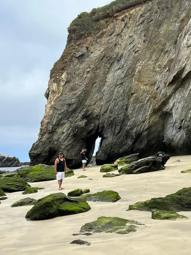 Porcía foto 4