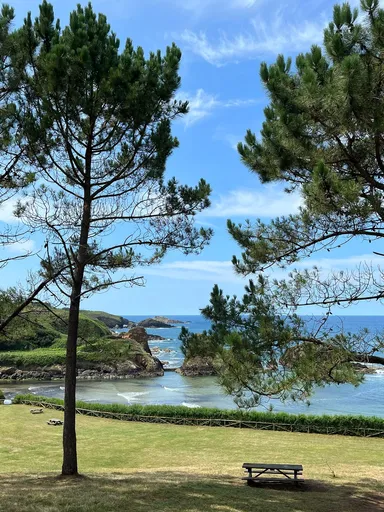 Porcía