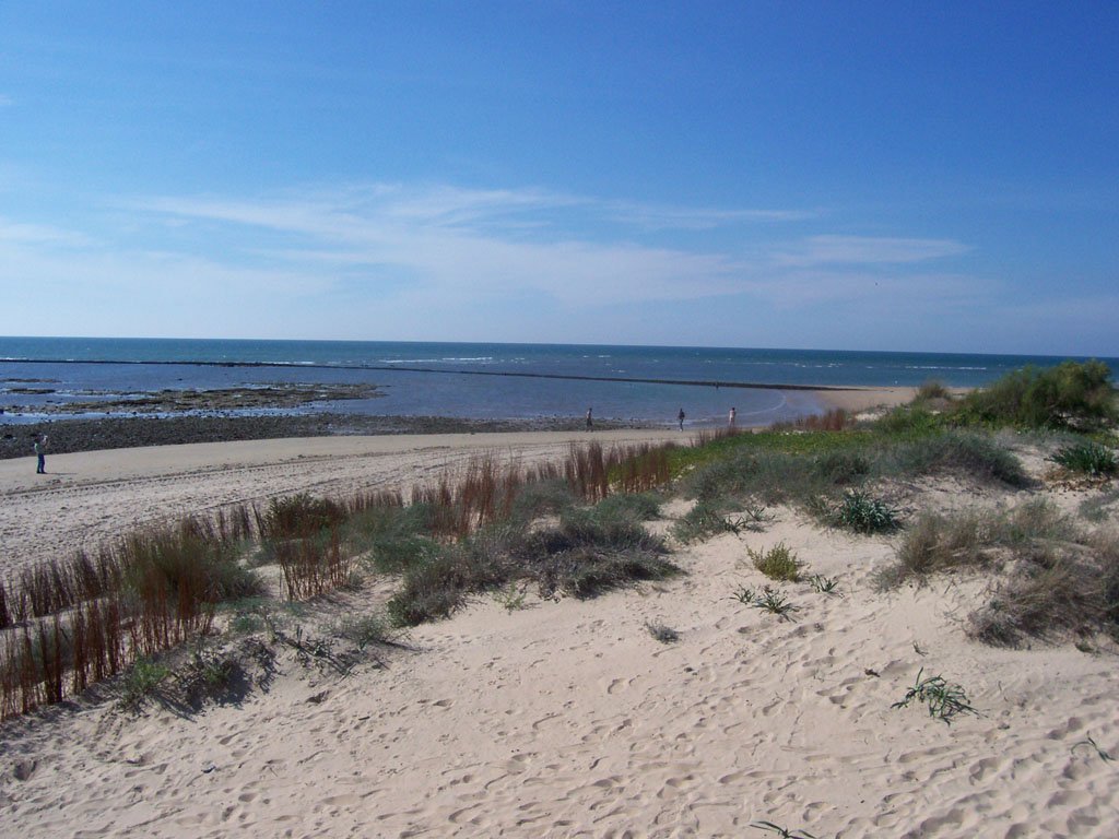 Foto de Punta Candor por @baseline_wikimedia