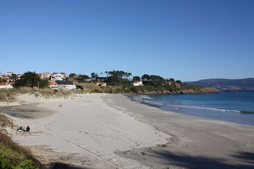 Canelas