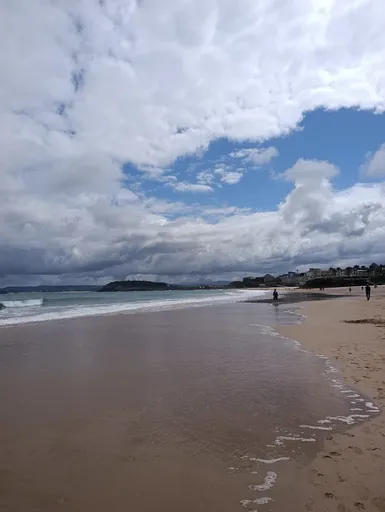 Sardinero II
