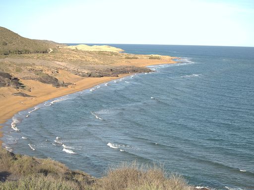 Larga foto 1