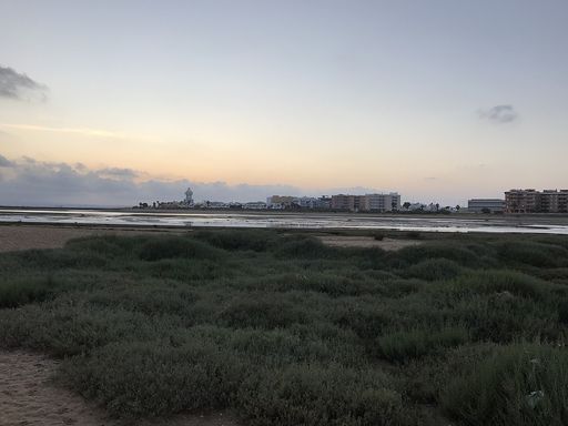 Gaviota foto 2