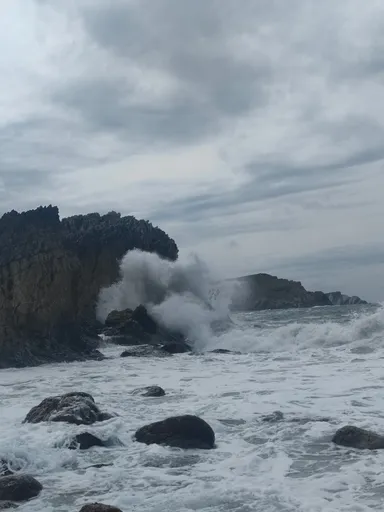 Virgen Del Mar