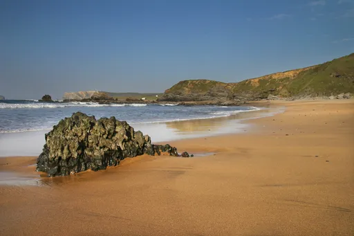 Carriciega