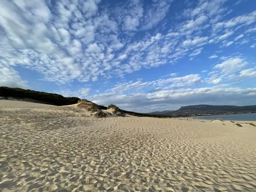 Bolonia foto 2