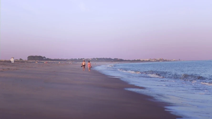 Foto de Gaviota por 📸 © TURISMO ANDALUZ
Fuente: andalucia.org