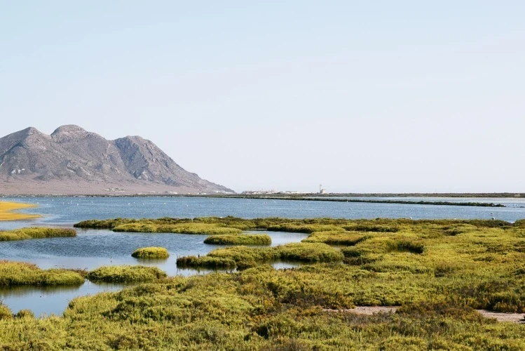 Foto de Levante Almerimar por 📸 © TURISMO ANDALUZ
Fuente: andalucia.org